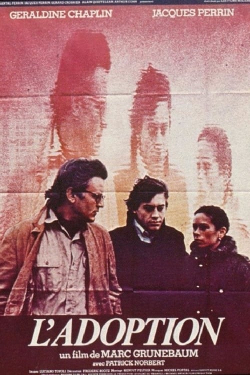 постер Удочерение